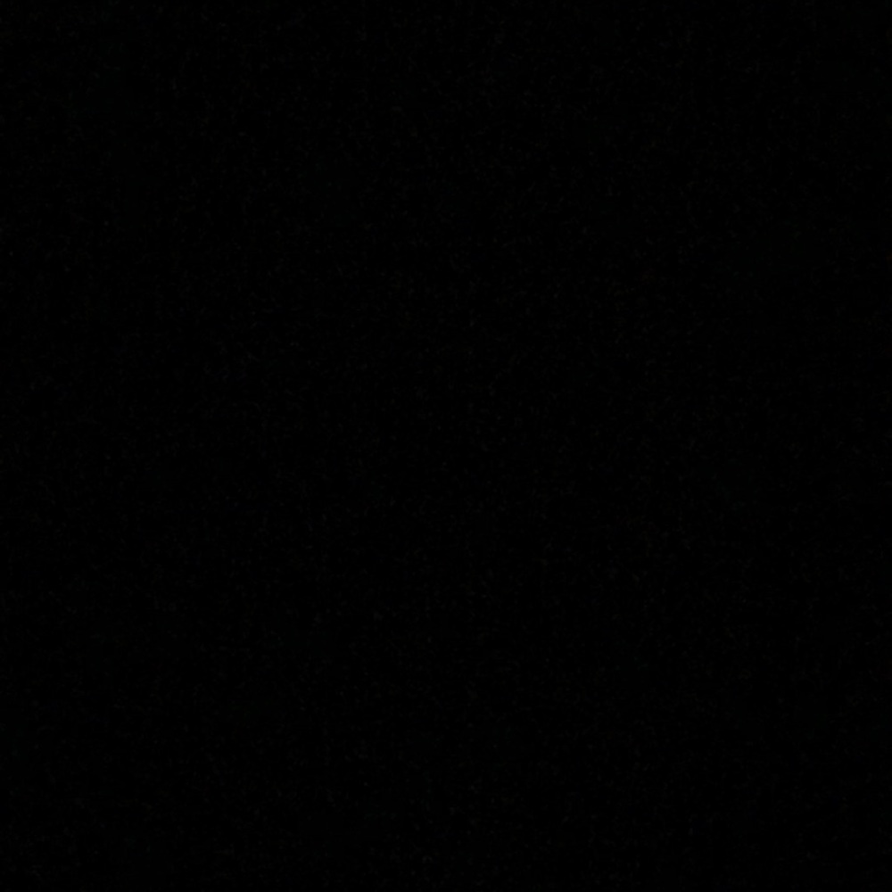 Meet your Posher, Maddie